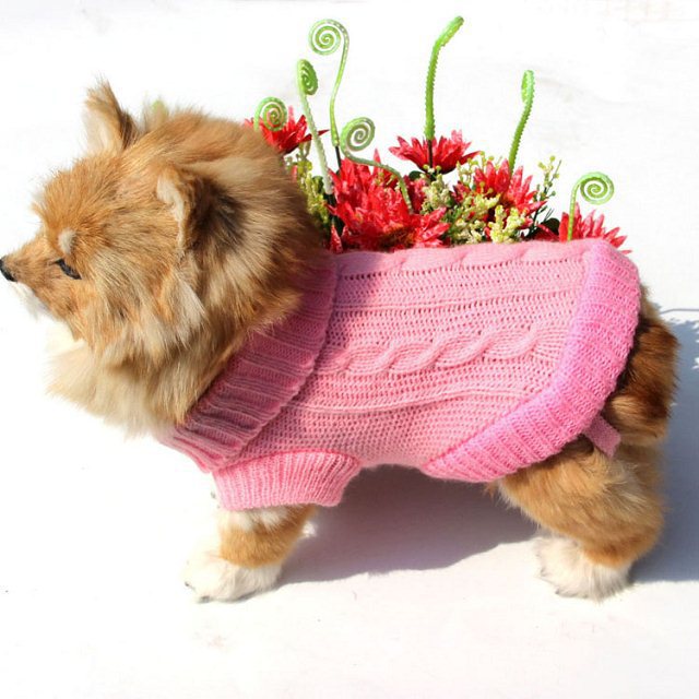 Cozy Knit Dog Sweater