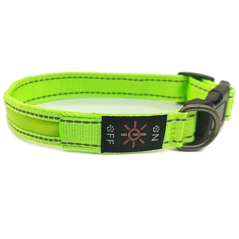 LED Light-Up Dog Collar