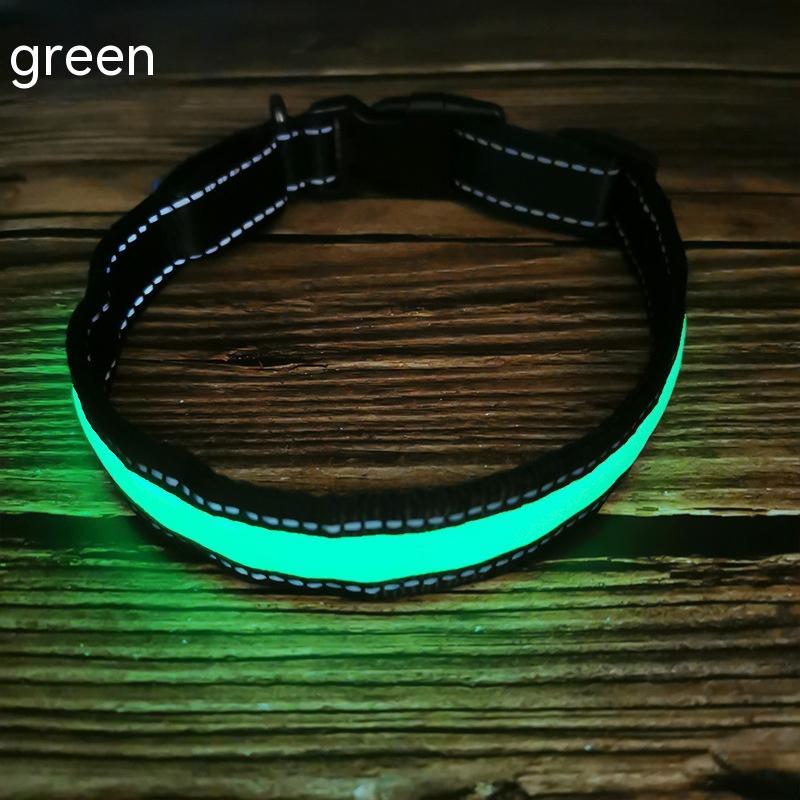 LED Light-Up Dog Collar