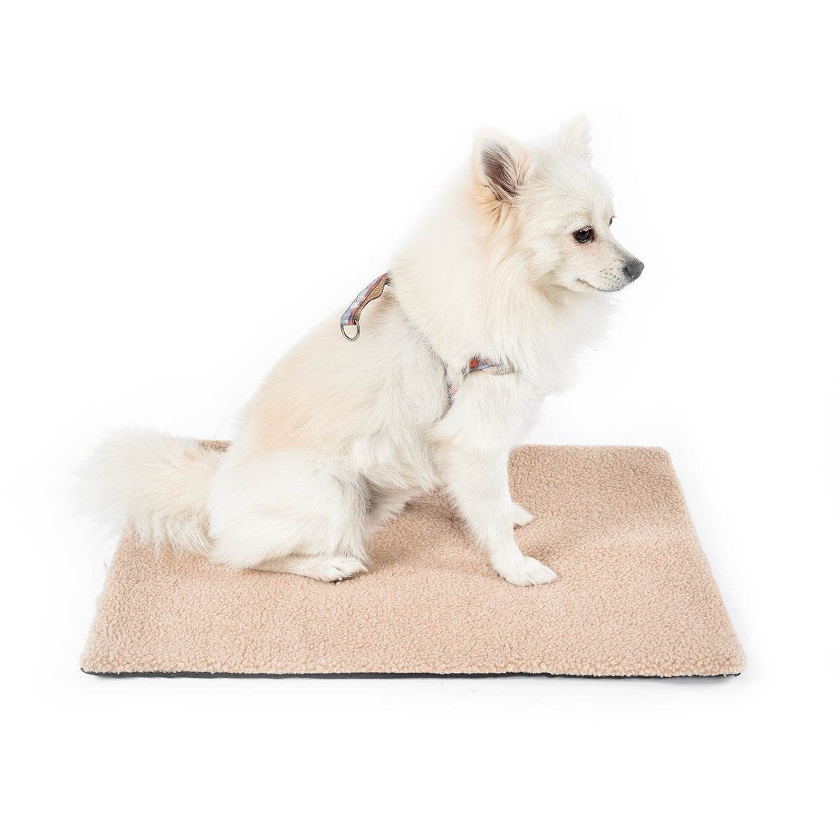 Self-Warming Pet Pad