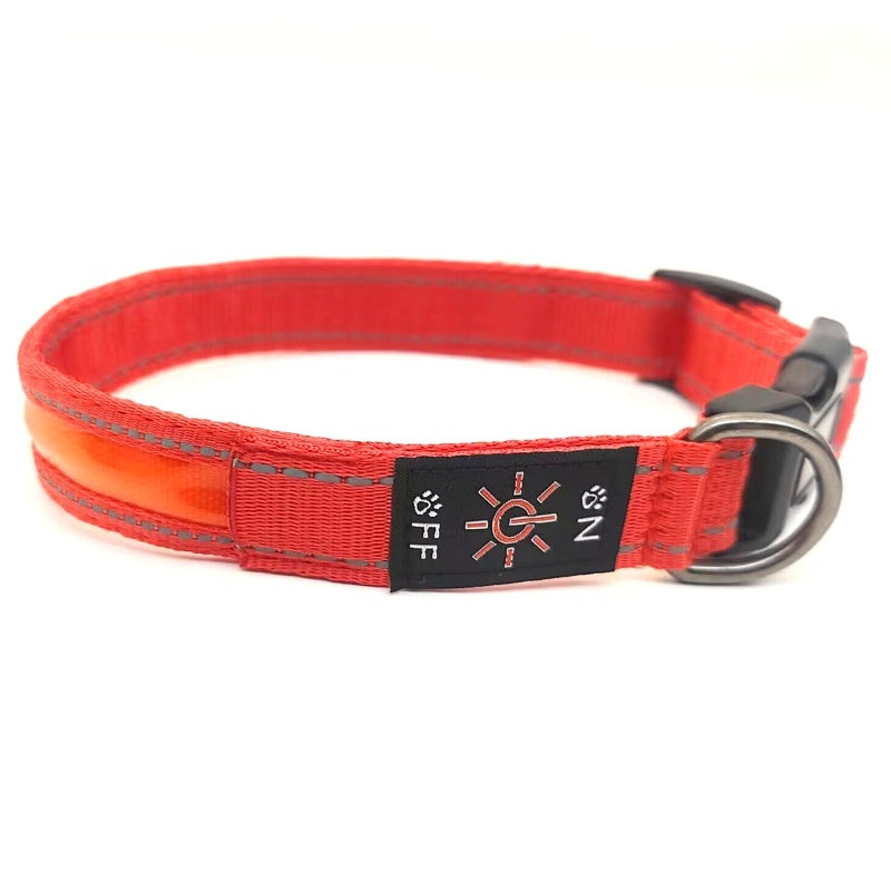 LED Light-Up Dog Collar
