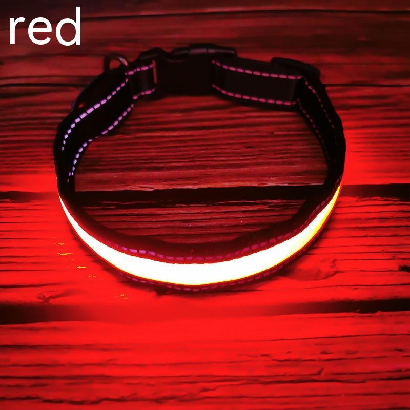 LED Light-Up Dog Collar