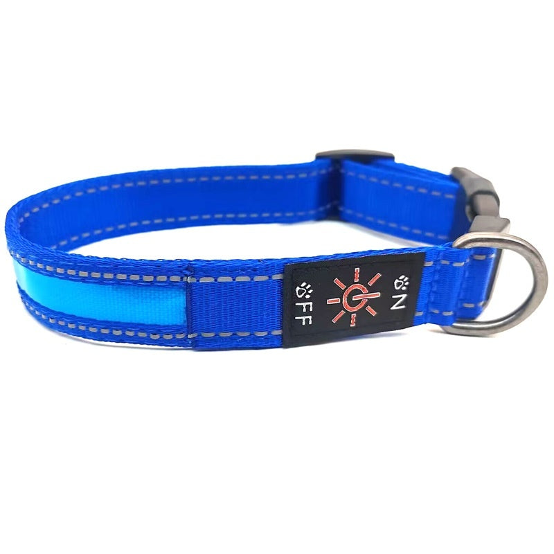 LED Light-Up Dog Collar