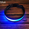 LED Light-Up Dog Collar