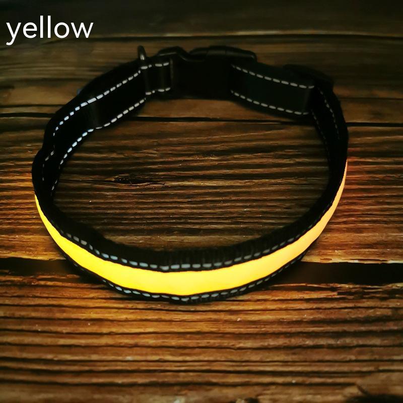 LED Light-Up Dog Collar