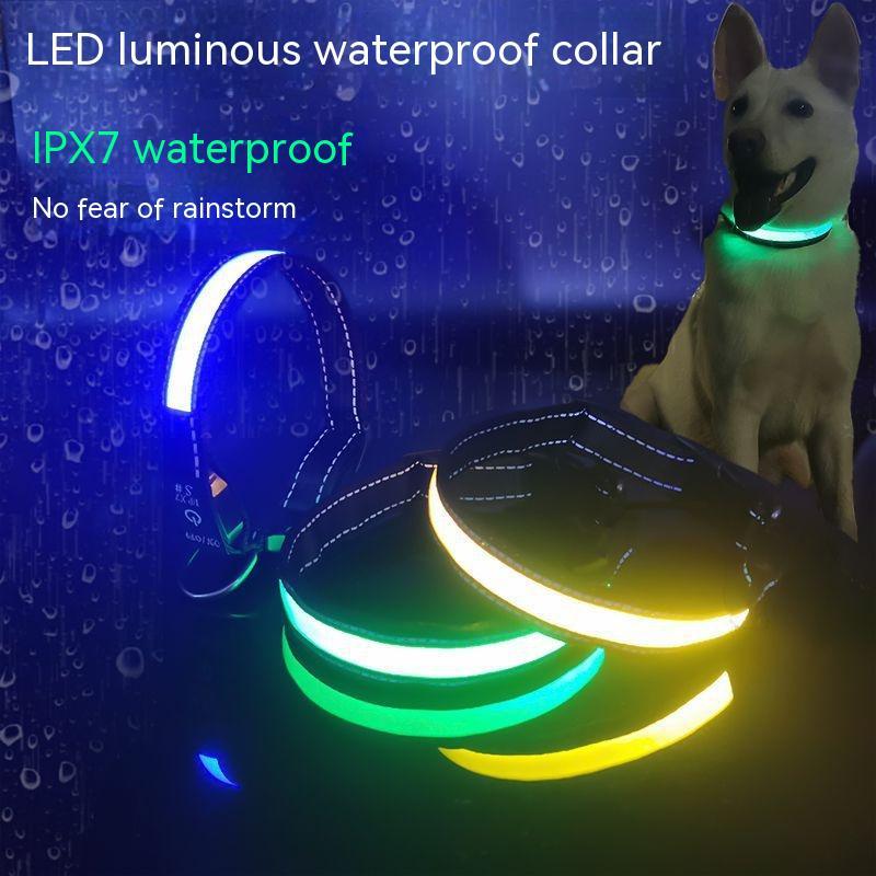 LED Light-Up Dog Collar