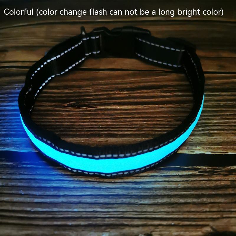 LED Light-Up Dog Collar