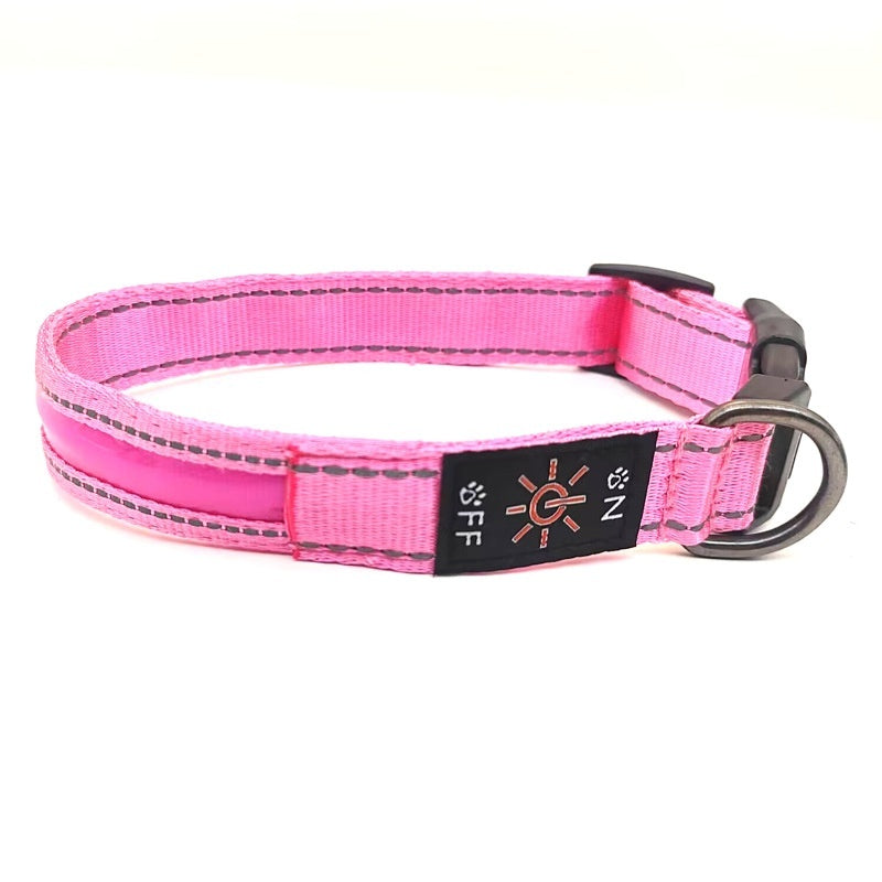 LED Light-Up Dog Collar