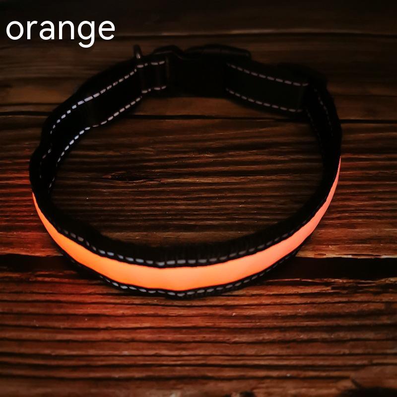 LED Light-Up Dog Collar